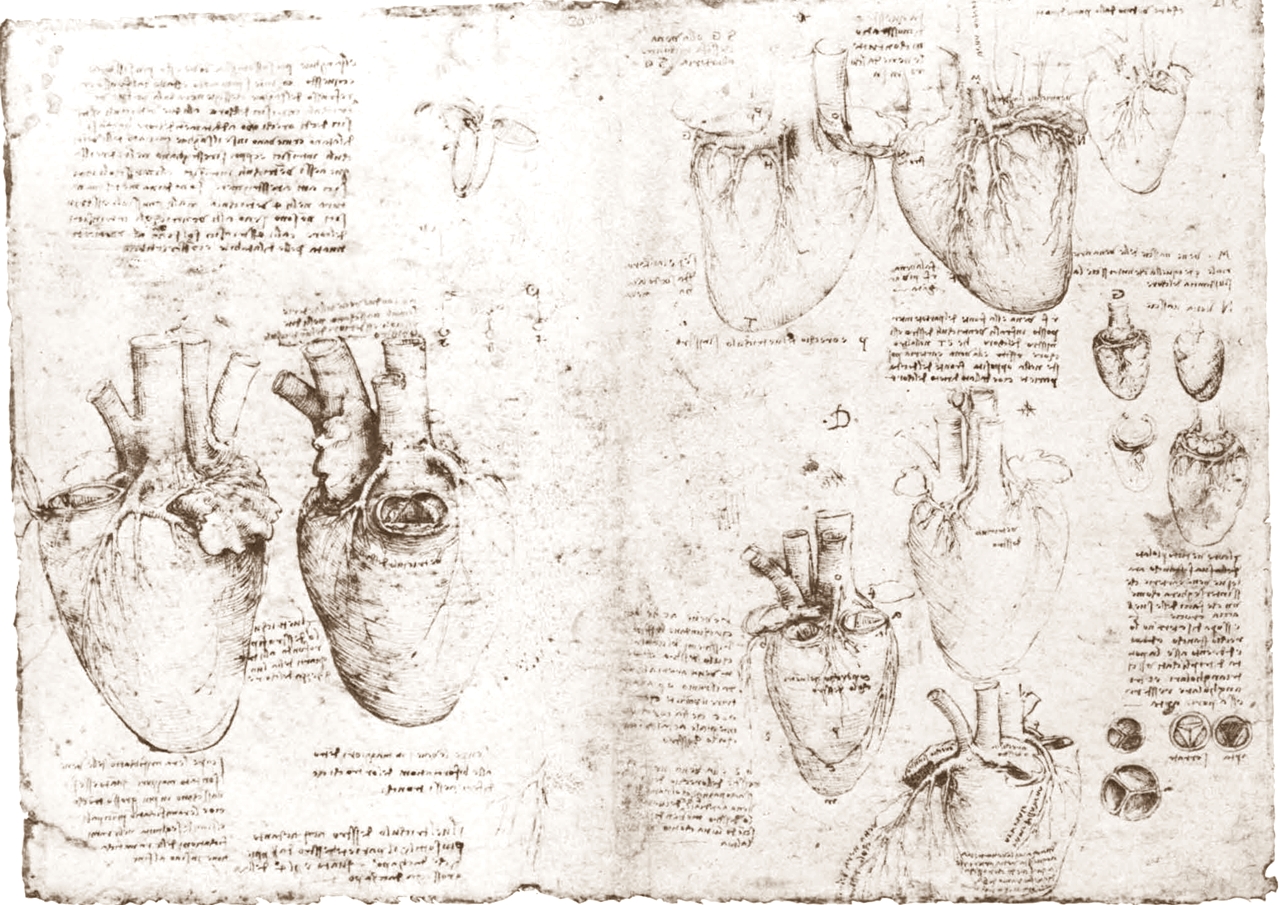 Leonardo+da+Vinci-1452-1519 (808).jpg